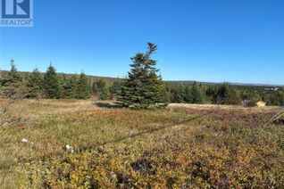 Land for Sale, 0 Main Road, Adams Cove, NL