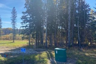 Commercial Land for Sale, 301 Valley View Drive, Rural Clearwater County, AB