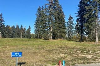 Commercial Land for Sale, 308 Valley View Drive, Rural Clearwater County, AB