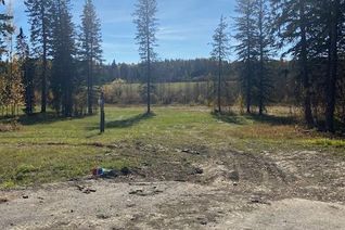 Land for Sale, 305 Valley View Drive, Rural Clearwater County, AB