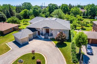 Bungalow for Rent, 15 Hillside Ave, Vaughan, ON Bungalow for Rent, 15 Hillside Ave, Vaughan, ON