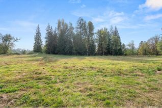 Property for Sale, 32388 Silver Creek Drive, Mission, BC