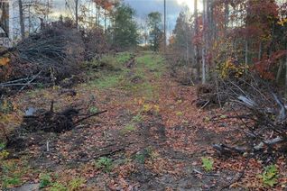 Land for Sale, N/A Black River Road N, Tweed, ON Land for Sale, N/A Black River Road N, Tweed, ON