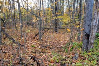 Land for Sale, 0 Black River Road N, Tweed, ON Land for Sale, 0 Black River Road N, Tweed, ON