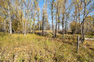 Property for Sale, 53 S Railway Street, Okotoks, AB Property for Sale, 53 S Railway Street, Okotoks, AB