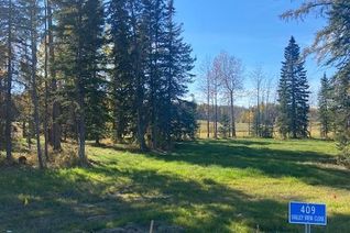 Commercial Land for Sale, 409 Valley View Close, Rural Clearwater County, AB