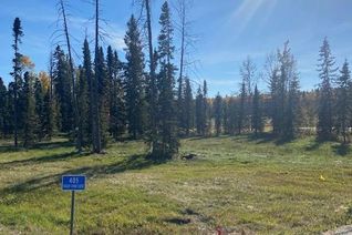 Land for Sale, 405 Valley View Close, Rural Clearwater County, AB