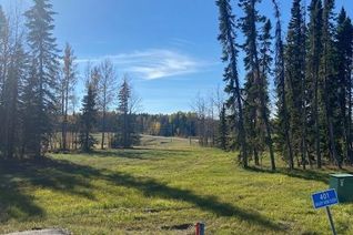 Land for Sale, 401 Valley View Close, Rural Clearwater County, AB