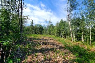 Commercial Land for Sale, 67458 Mcgrane Road #138, Lac La Biche, AB