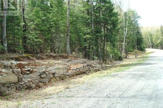 Commercial Land for Sale, Lot 8 Lakeview Street, Haliburton, ON