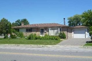 Bungalow for Rent, 45 Birchbank Rd, Brampton, ON Bungalow for Rent, 45 Birchbank Rd, Brampton, ON