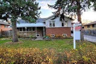 Bungalow for Rent, 3 Gretna Dr #Bsmt, Brampton, ON Bungalow for Rent, 3 Gretna Dr #Bsmt, Brampton, ON