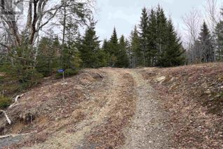 Commercial Land for Sale, Lot 22-3 226 Brookville Branch Road, Bridgeville, NS