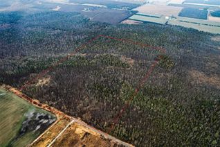 Vacant Residential Land for Sale, Lt 11 Concession 14 Rd, Brock, ON