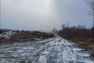 Property for Sale, 590 Indiane Rd E, Haldimand, ON Property for Sale, 590 Indiane Rd E, Haldimand, ON