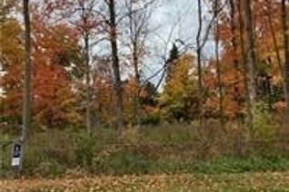 Vacant Residential Land for Sale, 17 Gray Ave, New Tecumseth, ON