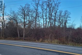 Commercial Land for Sale, Pt Lt 16 Lyons Creek Road, Niagara Falls, ON