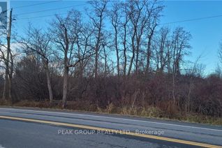 Property for Sale, Pt Lt 16 Lyons Creek Road, Niagara Falls (224 - Lyons Creek), ON