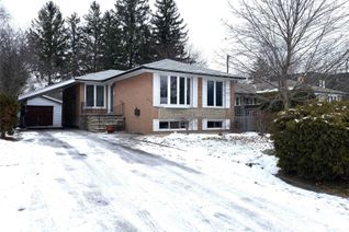 Bungalow for Rent, 331 Elmwood Ave, Richmond Hill, ON