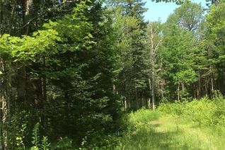 Vacant Residential Land for Sale, Lot 83-1 Thorne Brook & Brook Rd, Havelock, NB