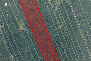 Land for Sale, 98.8 Acres Route 180, South Tetagouche, NB