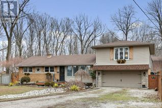 Detached House for Sale, 22691 Creek Road, Chatham, ON