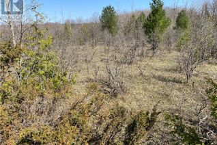 Land for Sale, 235753 Concession 2b Road, Chatsworth (Twp), ON