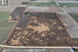 Farm for Sale, 4736 Langbank Line, Dawn-Euphemia, ON Farm for Sale, 4736 Langbank Line, Dawn-Euphemia, ON