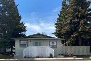 Non-Franchise Business for Sale, 115 Main Street, Acme, AB