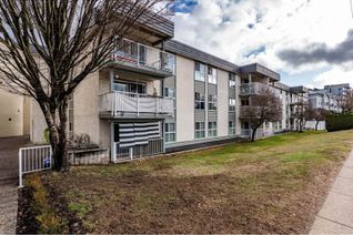 Condo Apartment for Sale, 32850 George Ferguson Way #224, Abbotsford, BC