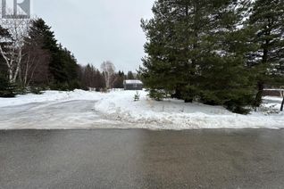 Commercial Land for Sale, 12 Ryan's Road, Pasadena, NL