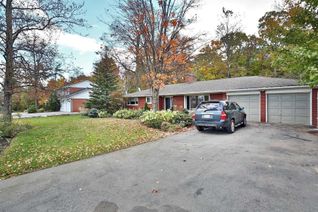 Bungalow for Rent, 38 Burnhamthorpe Rd W, Oakville, ON Bungalow for Rent, 38 Burnhamthorpe Rd W, Oakville, ON