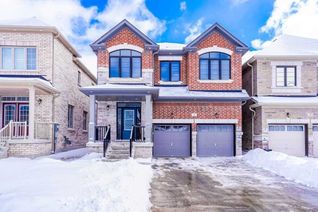 Detached House for Rent, 21 Yvette St #Bsmt, Whitby, ON