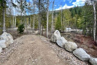 Land for Sale, 5395 Highway 6, Burton, BC