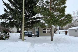 Property for Sale, 5119 49, Consort, AB