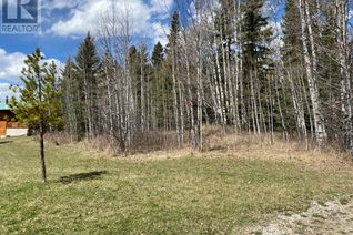 Land for Sale, 161 Woodfrog Way, Rural Mountain View County, AB
