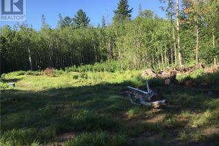 Land for Sale, 1311 Nelson Lake Road, Oranmore, ON