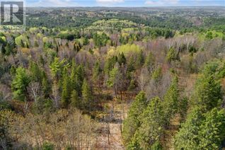 Property for Sale, Highway 60 Highway, Wilno, ON