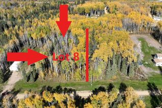Commercial Land for Sale, Lot 8 Forest Road (Rr 214), Rural Athabasca County, AB