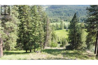 Property for Sale, 40 Acres Shuswap River Drive, Lumby, BC