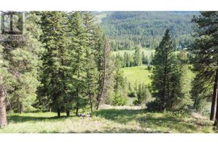 Commercial Land for Sale, 40 Acres Shuswap River Drive, Lumby, BC