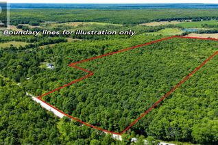 Property for Sale, Part 4 & 5 Concession 24, Georgian Bluffs, ON