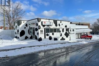 Commercial/Retail Property for Sale, 88 Kings Road, ST.JOHN'S, NL
