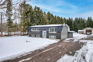 Detached House for Sale, 6078 4th Line, New Tecumseth, ON