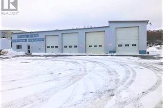 Non-Franchise Business for Sale, 4 Hope Avenue, Bay Roberts, NL