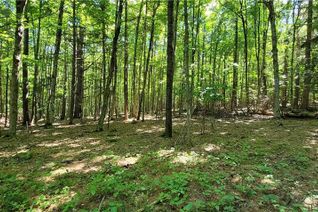 Land for Sale, 93 Town Line Road W, Huntsville, ON