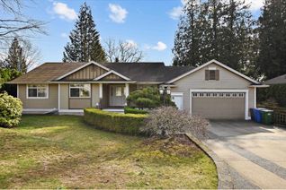 Property for Sale, 34134 Fraser Street, Abbotsford, BC