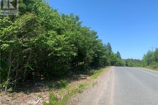 Commercial Land for Sale, 85-63 Bunker Hill Road, Wilsons Beach, NB