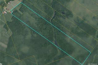 Property for Sale, 185 Acres Little Branch Road, Black River Bridge, NB Property for Sale, 185 Acres Little Branch Road, Black River Bridge, NB