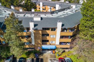 Condo for Sale, 7293 Moffatt Road #241, Richmond, BC Condo for Sale, 7293 Moffatt Road #241, Richmond, BC